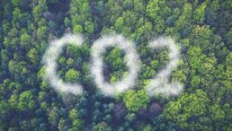 Umweltschutz: Vogelperspektive auf einen grünen Wald mit dem Schriftzug: "CO2".