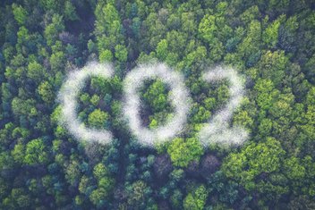 Vue de haut d'une forêt avec un un nuage de pollution qui forme en lettres "CO2".